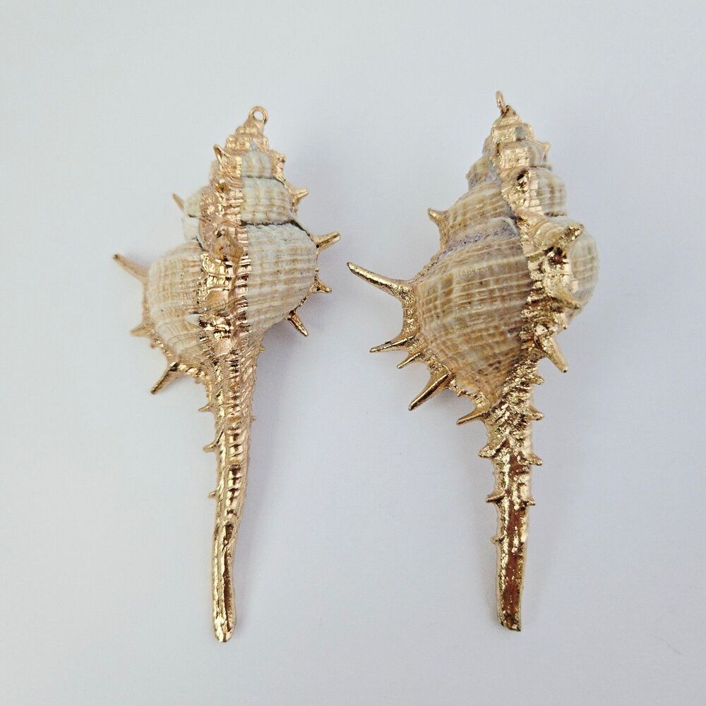 2 Large Natural Shell Charm Pendants for Jewelry Making Craft Supply Earrings